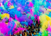Happy holi holiday