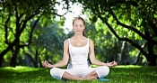 Lecture “Bases of transcendental meditation”
