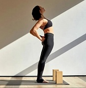 5 ASANAS TO STRENGTHEN POSTURE. ONLINE YOGA SEMINAR