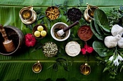 Lecture “Types of rasayana: what are they and what is the difference”