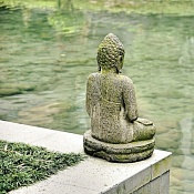 ONLINE LECTURE “BASES OF TRANSCENDENTAL MEDITATION. ANSWERS ON QUESTIONS